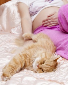 Toxoplasmoza in timpul sarcinii